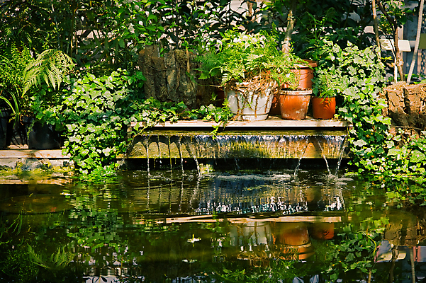 포토 JPG 해외이미지 식물 디자인 계절 꽃 백그라운드 꽃무늬 자연 사람없음 야외 장식 초록색 물 환경 정원 연못 신선 옵션 친환경 원예 조경 화단 내추럴 뒤뜰 생태학 예시 그리너리 해외포토 자연요소 교육 컬러 무늬 취미 생태계 파일형식 트랜드컬러 이미지허브