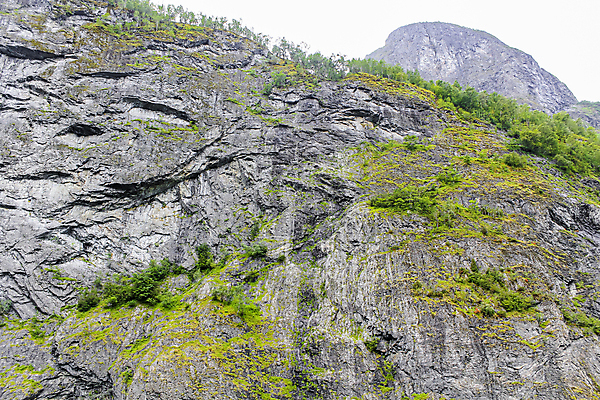 포토 JPG 해외이미지 여행 자연 날씨 산 파노라마 노르웨이 풍경 사람없음 야외 초록색 절벽 하이킹 회색 정상 언덕 질감 암초 내추럴 숨기 스칸디나비아 터키석 피오르 해외포토 유럽 컬러 모션 레저 촬영기법 보석 생태계 지형 파일형식 이미지허브
