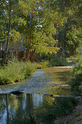 포토 JPG 해외이미지 나무 식물 여행 잎 모션 자연 산 이끼 풍경 사람없음 목재 초록색 물 여름 파란색 빛 강 햇빛 뷰티 평화 환경 봄 활발 폭포 젖음 흐름 가을 바위 신선 개울 떨어짐 숲 순수 내추럴 해외포토 자연요소 계절 컬러 컨셉 재료 태양 돌_바위 생태계 파일형식 이미지허브