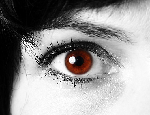 포토 JPG 해외이미지 모델 여자 얼굴 백그라운드 건강 한명 사람 성인 뷰티 갈색 유행 화장품 흰색 닫기 선택 속눈썹 피부 시력 슛 비전 내추럴 돌봄 해외포토 1 컬러 컨셉 모션 신체부위 눈썹 파일형식 이미지허브