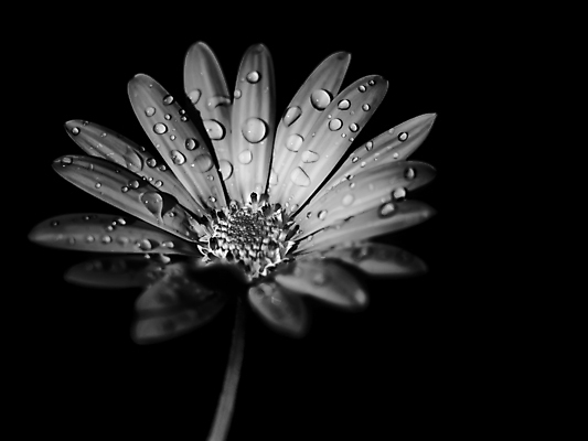 포토 JPG 해외이미지 계절 공원 꽃 분홍색 나비 곤충 잎 꽃무늬 자연 사람없음 빨간색 초록색 빛 컬러풀 태양 뷰티 노란색 정원 희망 봄 달력 신선 숲 무당벌레 모음 아티초크 해외포토 자연요소 식물 동물 공공시설 감정 컬러 무늬 한글 생태계 파일형식 이미지허브