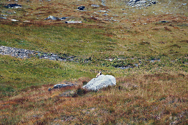 포토 JPG 해외이미지 공원 길 여행 백그라운드 곡선 자국 자연 하늘 산 파노라마 풍경 경사 사람없음 야외 가로 초록색 여름 파란색 컬러풀 햇빛 뷰티 환경 계곡 맑음 봄 하이킹 가을 시골 숲 언덕 산등성이 장면 암초 내추럴 절정 해외포토 계절 공공시설 선 컬러 레저 날씨 촬영기법 태양 생태계 파일형식 이미지허브