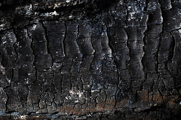 포토 JPG 해외이미지 나무 백그라운드 패턴 표면 불 추상 주택 사람없음 건물 목재 쌓기 검은색 어둠 손상 판넬 뜨거움 거친 균열 닫기 널 위험 장작 유기농 질감 화석 숯 흙더미 광 그런지 깨짐 석탄 여신 재 재앙 화상 해외포토 자연요소 식물 건축물 웰빙 컬러 컨셉 무늬 재료 모션 흙 상처 파일형식 더미 이미지허브