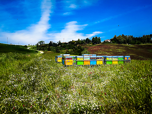 포토 JPG 해외이미지 나무 식물 구름 호수 여행 잎 모션 자연 하늘 풍경 사람없음 야외 초록색 여름 강 햇빛 뷰티 반사 환경 이탈리아 활발 폭포 흐름 바위 나뭇가지 연못 신선 액체 개울 떨어짐 꿀벌 숲 벌 순수 속도 드론 생태학 파라다이스 해외포토 자연요소 계절 교육 유럽 컬러 곤충 컨셉 태양 돌_바위 벌_곤충 생태계 파일형식 이미지허브