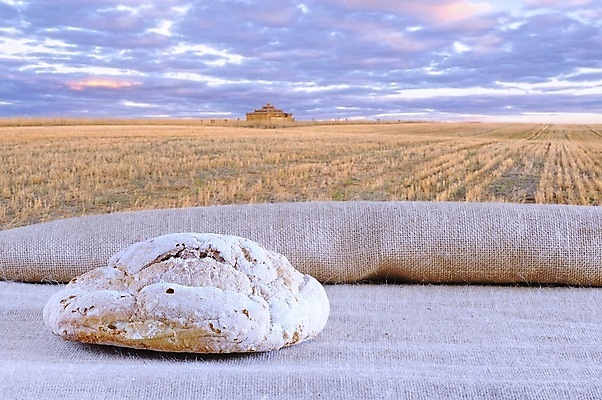 포토 JPG 해외이미지 음식 빵 밭 요리 사람없음 빵집 신선 시리얼 밀 장인 덩어리 호밀 귀리 해외포토 농업 곡류 상점 파일형식 이미지허브