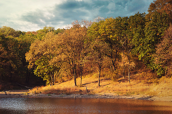 포토 JPG 해외이미지 나무 계절 공원 길 호수 여행 백그라운드 잎 오렌지 자연 하늘 그림자 사람없음 야외 목재 빨간색 초록색 물 파란색 빛 강 컬러풀 햇빛 뷰티 노란색 환경 화목 활발 나뭇가지 시골 연못 황금 숲 냄새 10월 내추럴 강렬 해외포토 자연요소 식물 공공시설 컬러 컨셉 과일 재료 태양 날짜 생태계 파일형식 이미지허브