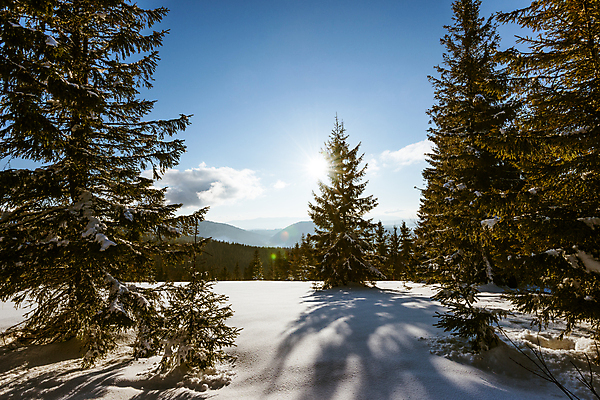 포토 JPG 해외이미지 나무 유럽 여행 겨울 자연 하늘 휴가 스키 산 파노라마 사람없음 야외 파란색 태양 맑음 냉동 얼음 트래킹 하이킹 추위 성장 흰색 소나무 숲 언덕 서리 북쪽 슬로프 산악지대 웅장함 절정 폭설 눈내림 가문비나무 해외포토 자연요소 식물 계절 나라 컬러 레저 날씨 겨울스포츠 스키장 눈_날씨 촬영기법 자연재해 방향 생태계 파일형식 이미지허브