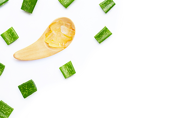 포토 JPG 해외이미지 스튜디오촬영 실내 사람없음 하이앵글 뷰티 흰배경 알로에 해외포토 식물 뷰포인트 백그라운드 내부 흰색 파일형식 이미지허브