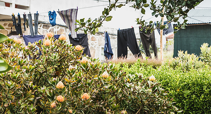 포토 JPG 해외이미지 나무 드레스 옷 공원 유럽 선 밧줄 벽 여행 결혼 셔츠 창문 자연 하늘 바람 벽돌 주택 건조 사람없음 야외 초록색 쇼핑 정원 수확 발코니 흰색 직물 신선 빨래 속옷 빨랫줄 포르투갈 캠핑장 복고 빨래집게 해외포토 자연요소 식물 공공시설 나라 줄 컬러 상의 가사 농업 날씨 집게 이벤트 건물 캠핑 생태계 파일형식 이미지허브