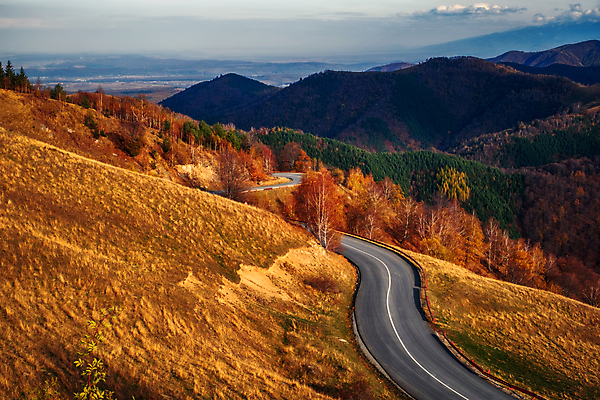 포토 JPG 해외이미지 주간 도로 단풍 단풍나무 산 사람없음 야외 가을풍경 숲 루마니아 해외포토 자연요소 나무 유럽 길 잎 교통시설 풍경 파일형식 가을_계절 이미지허브