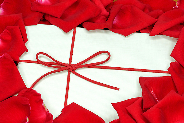 포토 JPG 해외이미지 식물 기념일 꽃잎 꽃 행복 결혼 백그라운드 자연 휴가 발렌타인데이 선물 사랑 사람없음 장식 빨간색 상자 뷰티 장미 봄 벚꽃 축하 신선 신용카드 고급 심볼 향기 초대 고립 해외포토 계절 감정 컬러 컨셉 데이이벤트 이벤트 금융 생태계 냄새 파일형식 이미지허브