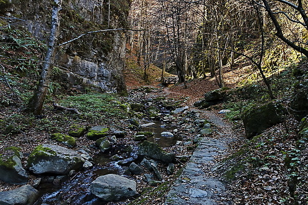 포토 JPG 해외이미지 스포츠 여행 낙엽 잎 자연 산 파노라마 이끼 사람없음 목재 초록색 물 강 뷰티 반사 계곡 산책 기쁨 회색 가을 바위 떨어짐 숲 미로 발칸반도 불가리아 옛날 절정 해외포토 자연요소 나무 식물 계절 감정 컬러 컨셉 재료 휴식 촬영기법 돌_바위 생태계 파일형식 남유럽 이미지허브