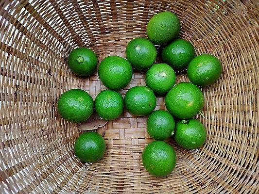 포토 JPG 해외이미지 음식 백그라운드 십자가 과일 재료 자연 디저트 귤 건강 사람없음 초록색 컬러풀 쌓기 바구니 주방 주스 흰색 신선 그룹 시장 플라스틱 자르기 레몬 대나무 흰배경 유기농 날것 라임 레시피 흙더미 핵심 많음 개조 해외포토 나무 웰빙 음료 컬러 컨셉 모션 재질 흙 생태계 파일형식 더미 이미지허브