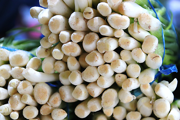 포토 JPG 해외이미지 잡화 여행 호박 가지 양파 감자 건강 서기 사람없음 가로 초록색 노란색 판매 세일 새싹 상점 여러개 수확 신선 발표 그룹 시장 선택 맛 구매 농부 상추 가격 다발 고객 양배추 지역 소매 슈퍼마켓 매각 밭일 총각무 해외포토 식물 직업 컬러 다수 컨셉 농업 채소 모션 쇼핑 무 파일형식 이미지허브