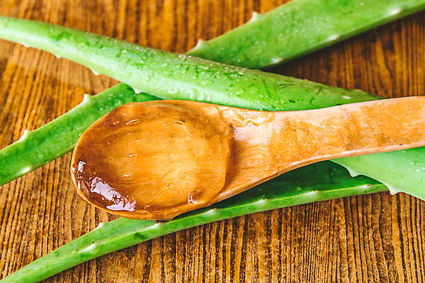 포토 JPG 해외이미지 식물 얼굴 줄기 조각 백그라운드 잎 자연 탁자 건강 사람없음 목재 치료 초록색 뷰티 약 숟가락 스파 화장품 신선 마사지 가시 약초 자르기 허브 피부 피부관리 유기농 테라피 돌봄 알로에 치유 해외포토 나무 웰빙 컬러 가구 재료 의학 모션 수저 신체부위 풀_식물 생태계 파일형식 이미지허브