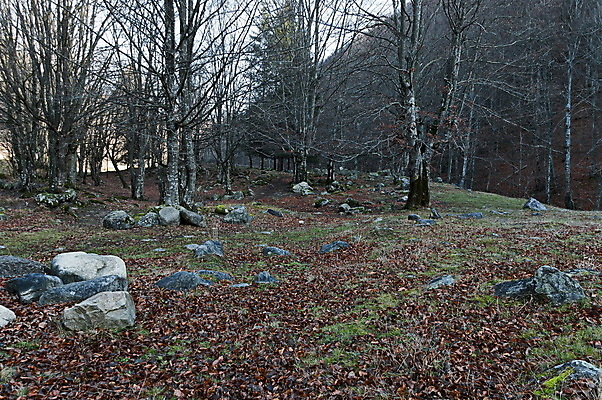 포토 JPG 해외이미지 나무 유럽 여행 백그라운드 낙엽 잎 자연 벽지 산 이끼 풍경 사람없음 야외 목재 초록색 파란색 장미 여행객 환경 맑음 침묵 산책 하이킹 가을 바위 흰색 숲 큼 내추럴 발칸반도 불가리아 생태학 해외포토 식물 계절 교육 꽃 나라 컬러 재료 레저 날씨 휴식 사람 소리 돌_바위 크기 생태계 파일형식 남유럽 이미지허브