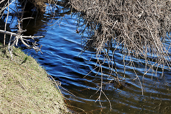 포토 JPG 해외이미지 전신 백인 구름 커플 공원 여자 남자 유럽 50대 여행 배낭 자연 하늘 휴가 독일 따뜻함 국립공원 사람없음 가로 여름 강 도시풍경 교회 여행객 걷기 하이킹 시골 도시 보트 황금 60대 숲 크루즈 은퇴 삼림지대 카피스페이스 해외포토 자연요소 서양인 계절 공공시설 노년 나라 중년 배_교통 가방 관계 종교건축 모션 레저 사람 풍경 건물 공백 생태계 파일형식 이미지허브