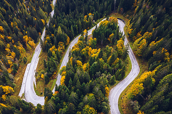 포토 JPG 해외이미지 나무 도로 길 여행 단풍 잎 곡선 교통시설 자연 산 안테나 사람없음 하이앵글 운전 시골 고속도로 보행로 숲 굴곡 드론 조감도 해외포토 식물 선 뷰포인트 교통 통신 모션 시설 생태계 파일형식 이미지허브