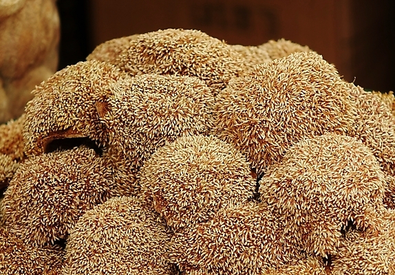 포토 JPG 해외이미지 모양 식물 음식 과일 건강 씨앗 동양인 사람없음 갈색 중국 시장 유기농 무화과 내추럴 해외포토 웰빙 아시아 컬러 인종 파일형식 이미지허브