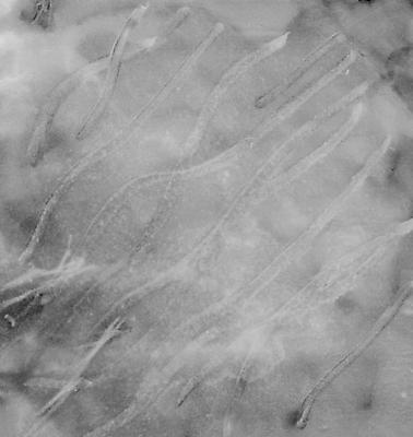 포토 JPG 해외이미지 디자인 종이 백그라운드 일러스트 벽지 추상 창조 미술 경사 사람없음 장식 물 컬러풀 검은색 페인트 회색 흰색 붓 떨어짐 빨래 소프트포커스 그림 질감 핸드메이드 해외일러스트 자연요소 컬러 컨셉 가사 무늬 문화예술 촬영기법 파일형식 이미지허브