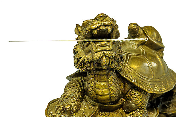 포토 JPG 해외이미지 전통 자연 건강 사람없음 치료 약 중국 골동품 공구 입 거북이 테라피 돌봄 옛날 해외포토 아시아 의학 파충류 모션 신체부위 뷰티 도구 생태계 파일형식 이미지허브