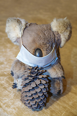 포토 JPG 해외이미지 동물 어린이 백그라운드 컨셉 건강 가면 사람없음 장난감 약 고통 환자 게임 아기 조직 호흡기관 바이러스 보호 질병 오브젝트 예방 감염 부드러움 솜털 짜임 돌봄 전염병 해외포토 감정 의학 모션 놀이 사람 장기_의학 감각 파일형식 이미지허브