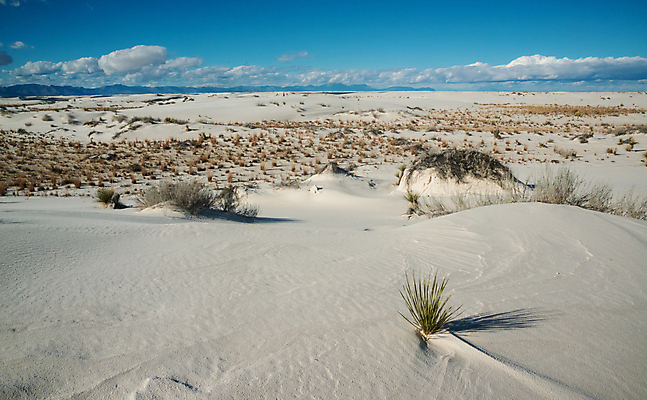 포토 JPG 해외이미지 식물 공원 여행 백그라운드 패턴 자연 하늘 건조 국립공원 사람없음 파란색 모래사장 미국 사막 흰색 황무지 모래언덕 부식 결정체 천연기념물 내추럴 잔물결 전국 해외포토 공공시설 물결 바다 컬러 북아메리카 무늬 언덕 생태계 파일형식 이미지허브