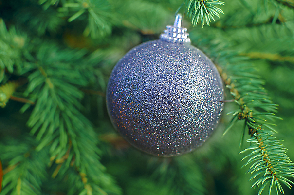 포토 JPG 해외이미지 나무 식물 아이콘 전통 디자인 계절 백그라운드 크리스마스 겨울 공 자연 유리 휴가 새로움 기념 선물 사람없음 장식 초록색 파란색 빛 축제 장식볼 수확 나뭇가지 축하 소나무 원형 신용카드 닫기 은색 12월 연도 오브젝트 여의주 해외포토 도형 기념일 컬러 컨셉 농업 모션 재질 금융 날짜 생태계 파일형식 이미지허브