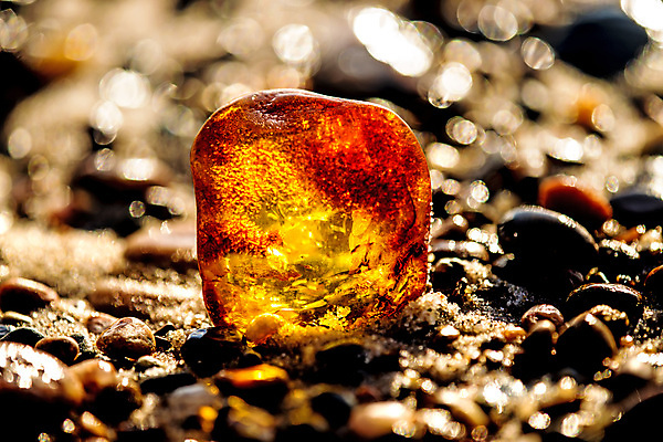 포토 JPG 해외이미지 자연 사람없음 빛 주황색 투명 보석 화석 앰버 해외포토 컬러 광석 생태계 파일형식 이미지허브