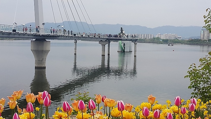 포토 JPG 해외이미지 식물 계절 공원 꽃잎 꽃 바다 분홍색 꽃다발 백그라운드 잎 꽃무늬 패턴 밭 오렌지 자연 선물 사람없음 장식 빨간색 초록색 물 여름 컬러풀 뷰티 노란색 정원 보라색 봄 활발 벚꽃 흰색 신선 개화 원예 내추럴 많음 해외포토 자연요소 공공시설 컬러 컨셉 무늬 농업 과일 취미 생태계 파일형식 이미지허브