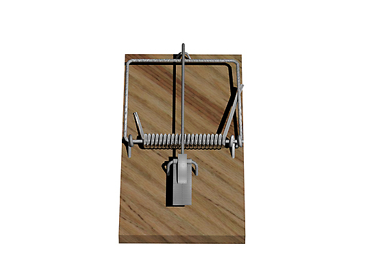 포토 JPG 해외이미지 사람없음 목재 그래픽 갈색 금속 잡기 파마 가시 위험 깃털 사냥 철사 긴장 미끼 스트랩 해외포토 나무 헤어스타일 감정 컬러 컨셉 재료 모션 재질 파일형식 이미지허브