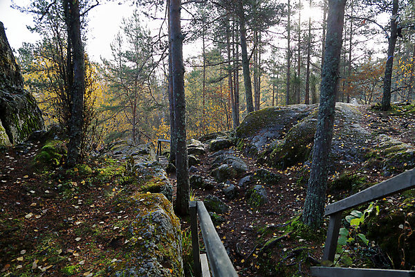 포토 JPG 해외이미지 나무 식물 계절 공원 백그라운드 낙엽 잎 자연 풍경 사람없음 야외 목재 빛 컬러풀 뷰티 노란색 환경 침묵 가을 나뭇가지 시골 황금 숲 러시아 10월 내추럴 삼림지대 해외포토 공공시설 유럽 컬러 재료 소리 날짜 생태계 파일형식 이미지허브