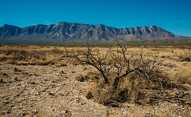 포토 JPG 해외이미지 호수 모래 여행 백그라운드 자연 새로움 건조 사람없음 초록색 물 태양 미국 사막 성장 크리스탈 소금 내추럴 뉴멕시코 지질학 칼슘 수평선 해외포토 자연요소 교육 컬러 컨셉 북아메리카 광석 생태계 파일형식 이미지허브