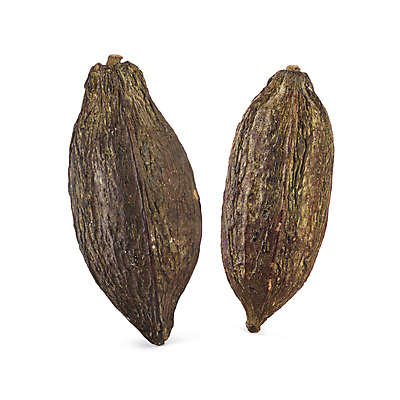 포토 JPG 해외이미지 음식 백그라운드 과일 재료 디저트 콩 건조 사람없음 갈색 쌓기 초콜릿 어둠 흰색 달콤 낟알 가루 유기농 날것 코코아 흙더미 내추럴 꼬투리 숙성 카카오 해외포토 웰빙 음료 컬러 모션 곡류 흙 맛 파일형식 더미 이미지허브