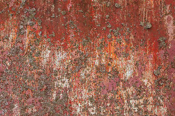 포토 JPG 해외이미지 백그라운드 벽돌 사람없음 질감 해외포토 파일형식 이미지허브