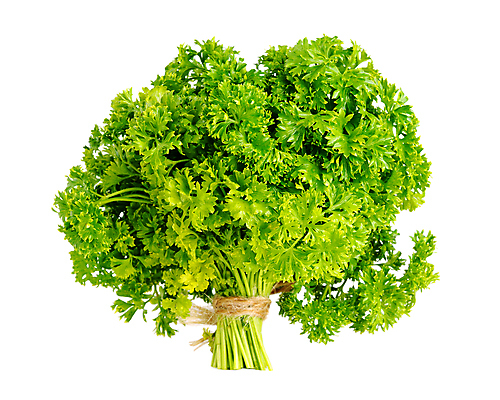 포토 JPG 해외이미지 나무 식물 음식 잎 재료 파슬리 건강 요리 사람없음 초록색 흰색 신선 조미료 다발 보따리 유기농 향료 내추럴 강렬 고립 채식주의자 해외포토 웰빙 컬러 채소 채식 향기 냄새 향미료 파일형식 이미지허브