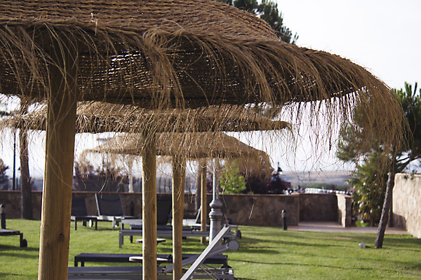 포토 JPG 해외이미지 나무 모래 바다 여행 백그라운드 우산 하늘 휴가 휴식 손바닥 풍경 사람없음 초록색 물 여름 파란색 태양 여행객 신혼여행 휴양지 밀짚 이국적 파라다이스 해외포토 자연요소 식물 손 계절 컬러 결혼 컨셉 사람 장소 짚 파일형식 이미지허브