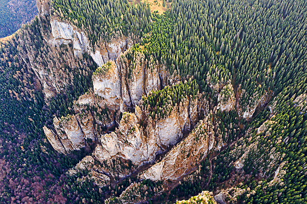 포토 JPG 해외이미지 나무 공원 여행 자국 자연 산 안테나 파노라마 사람없음 야외 초록색 컬러풀 환경 골짜기 계곡 하이킹 가장자리 정상 숲 언덕 부식 산등성이 장면 암초 내추럴 드론 전국 절정 지질학 산맥 해외포토 식물 공공시설 교육 컬러 통신 레저 촬영기법 둘레 생태계 파일형식 이미지허브