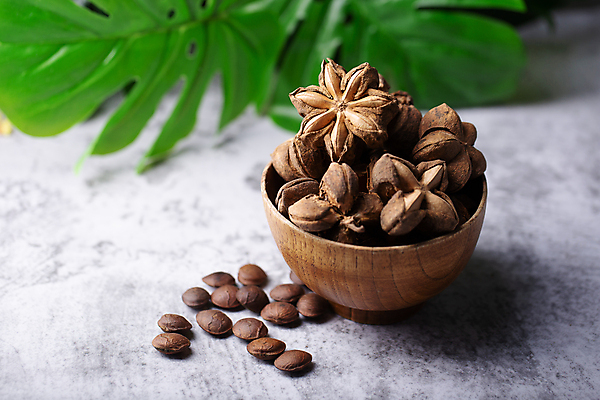 포토 JPG 해외이미지 모양 식물 별 음식 백그라운드 잎 농업 과일 재료 자연 산 콩 건조 건강 씨앗 사람없음 초록색 농장 갈색 견과류 흰색 하트 신선 허브 유기농 아로마 땅콩 내추럴 고립 단백질 떠남 오메가 잉카 해외포토 자연요소 웰빙 산업 컬러 모션 곡류 생태계 영양소 파일형식 이미지허브