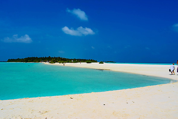 포토 JPG 해외이미지 나무 식물 모래 바다 섬 여행 백그라운드 자연 하늘 휴가 휴식 손바닥 그림자 풍경 사람없음 물 여름 파란색 햇빛 태양 맑음 침묵 시골 휴양지 코코넛 천국 석호 몰디브 이국적 터키석 파라다이스 해외포토 자연요소 손 계절 아시아 컬러 컨셉 과일 날씨 소리 장소 보석 생태계 파일형식 이미지허브