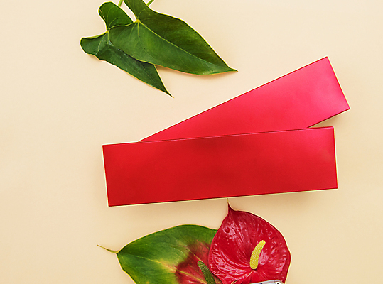 포토 JPG 해외이미지 잎 사람없음 상자 하이앵글 뷰티 화장품 안스리움 베이지색배경 해외포토 식물 꽃 뷰포인트 백그라운드 베이지색 파일형식 이미지허브