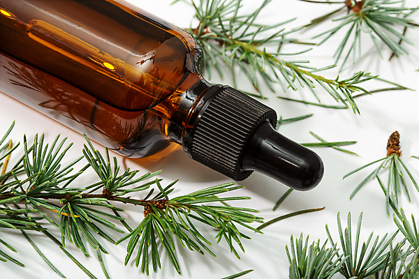 포토 JPG 해외이미지 식물 잎 유리 휴식 건강 사람없음 치료 뷰티 스파 화장품 약재 나뭇가지 신선 마사지 소나무 약초 허브 흰배경 아로마 향 스킨케어 아로마테라피 전나무 테라피 내추럴 고립 정물화 추출 피펫 해외포토 나무 백그라운드 컨셉 의학 재질 실험기구 약 흰색 풀_식물 그림 파일형식 이미지허브