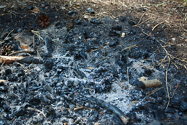 포토 JPG 해외이미지 모래 백그라운드 패턴 자연 표면 추상 폭죽 따뜻함 사람없음 야외 목재 빛 쌓기 환경 검은색 회색 에너지 흰색 뜨거움 그릴 숲 위험 모닥불 바비큐 묘사 벽난로 질감 화석 숯 내추럴 그런지 석탄 썩음 재 화상 해외포토 나무 음식 컬러 컨셉 무늬 재료 모션 주방용품 불 상처 생태계 파일형식 이미지허브