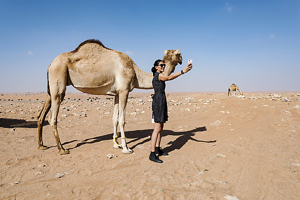 포토 JPG 해외이미지 동물 백인 디자인 행복 얼굴 40대 백그라운드 통신 휴가 건조 세포 한명 이벤트 성인 가로 파란색 스마트폰 카메라 디지털 사막 잡기 뜨거움 연결 모래언덕 전자 은하계 먼지 낙타 탐사 원정 혼자 해외포토 서양인 1 감정 컬러 중년 포유류 모션 사람 신체부위 전자제품 핸드폰 스마트기기 언덕 파일형식 이미지허브