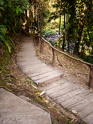 포토 JPG 해외이미지 나무 식물 공원 여행 컨셉 잎 건축양식 자국 자연 벽돌 산 풍경 사람없음 야외 목재 초록색 계단 정원 바위 숲 언덕 단계 옛날 해외포토 공공시설 건축 컬러 재료 돌_바위 생태계 파일형식 이미지허브