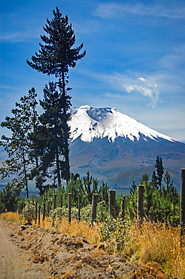포토 JPG 해외이미지 나무 구름 공원 도로 여행 백그라운드 자연 하늘 산 풍경 사람없음 야외 얼음 미국 바위 흰색 행운 정상 라틴아메리카 땅 고도 언덕 빙하 화산 에콰도르 원뿔 빛망울 전국 절정 해외포토 자연요소 도형 식물 공공시설 길 컬러 컨셉 북아메리카 교통시설 아메리카 빛 돌_바위 남아메리카 생태계 파일형식 이미지허브