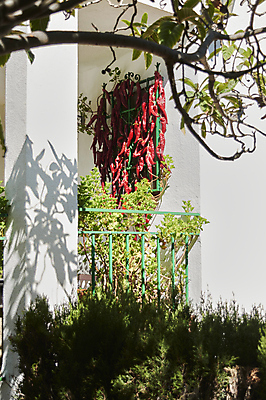 포토 JPG 해외이미지 전통 꽃 유럽 줄 벤치 주택 건조 매달리기 그림자 사람없음 장식 빨간색 햇빛 우주 정원 맑음 화환 성장 흰색 시골 오픈 뜨거움 양념 그룹 닫기 다발 향신료 지역 향료 후추 칠레 셔터 밭일 특별함 많음 해외포토 식물 나라 컬러 컨셉 의자 모션 날씨 건물 태양 남아메리카 향기 냄새 향미료 파일형식 이미지허브