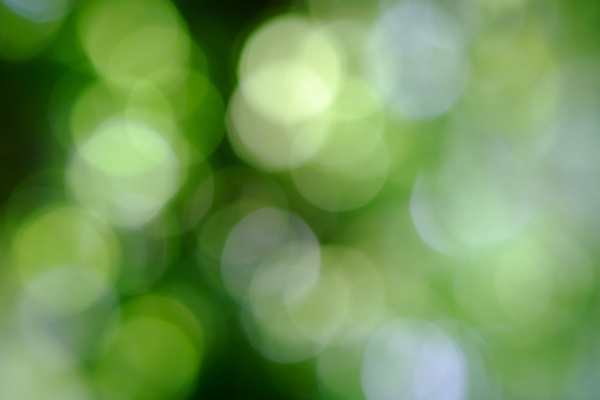 포토 JPG 해외이미지 디자인 백그라운드 생각 패턴 전구 아침 추상 사람없음 장식 초록색 빛 반짝임 컬러풀 거품 손전등 신선 점 원형 소프트포커스 질감 보케 강렬 블러 그리너리 효과 해외포토 주간 도형 컬러 무늬 모션 조명 촬영기법 파일형식 트랜드컬러 이미지허브