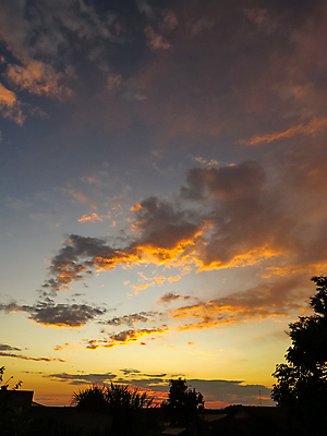 포토 JPG 해외이미지 나무 구름 실루엣 여행 백그라운드 오렌지 자연 하늘 휴가 파노라마 풍경 사람없음 야외 여름 빛 세트 컬러풀 햇빛 태양 뷰티 노란색 일출 환경 어둠 황혼 일몰 새벽 황금 저녁 장면 내추럴 수평선 해외포토 자연요소 식물 계절 컬러 과일 촬영기법 노을 야간 생태계 파일형식 이미지허브