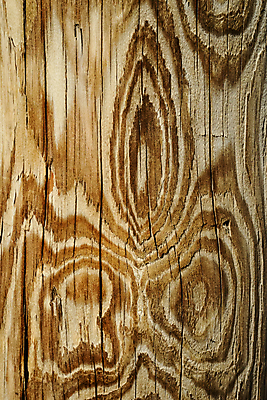 포토 JPG 해외이미지 나무 벽 백그라운드 패턴 자연 벽지 탁자 표면 추상 바닥 사람없음 목재 갈색 수확 소나무 판넬 거친 널 낟알 책상 질감 내추럴 그런지 수목 옛날 카피스페이스 해외포토 식물 컬러 가구 무늬 농업 재료 공백 생태계 파일형식 이미지허브